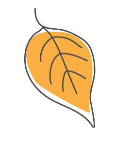 Orange leaf illustration