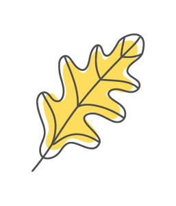 Yellow leaf illustration